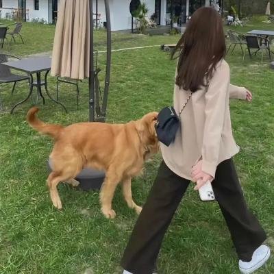 铁血殊途